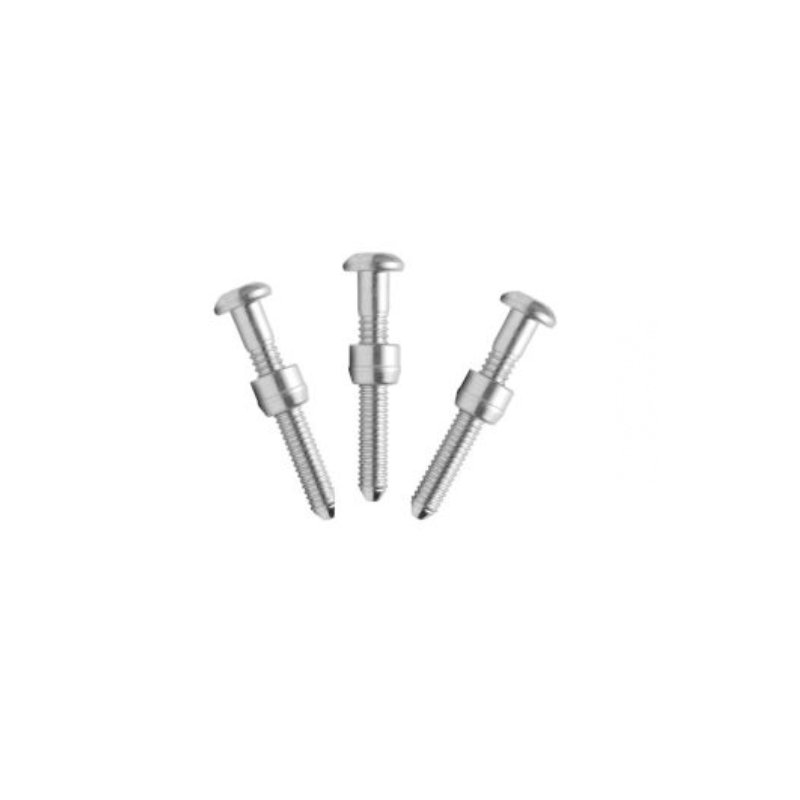 WS Bolt Brazier Head RivetBlind RivetRivet NutBlind Rivet Nut